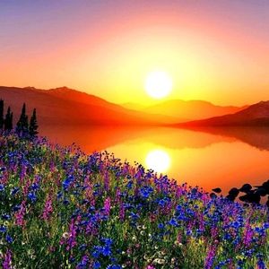 Meet your Posher, Tessa